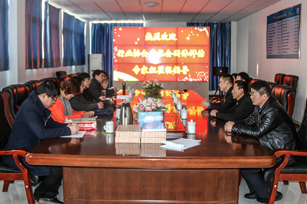 Welcome Jining Civil Affairs Bureau Industry Association of Social Organization Assessment Panel to Evalute Jining E-commerce Association 